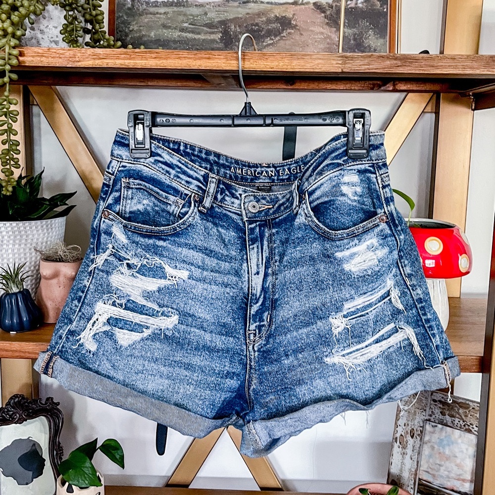 American Eagle Outfitters Denim Shorts Distressed Mom Shorts